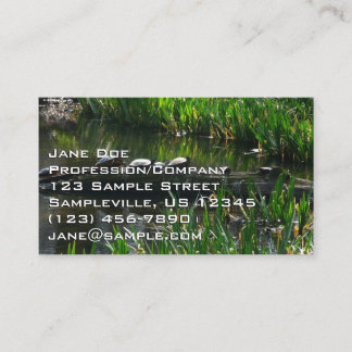 Row of Turtles Green Nature Photo Business Card