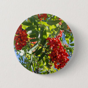 Rowan 6 Cm Round Badge