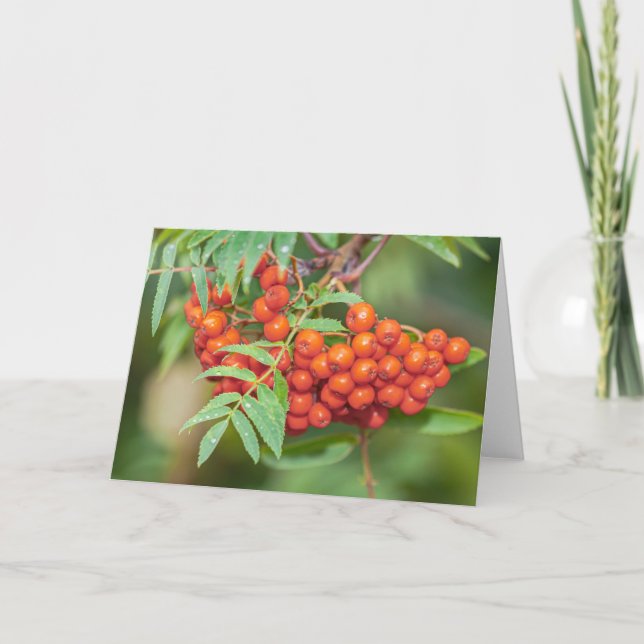 Rowan berries card (Front)
