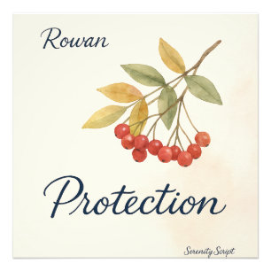 Rowan — Protection Serenity Script Collection Photo Print