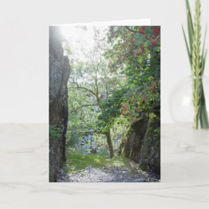 Rowan Tree Tilberthwaite Quarry Card