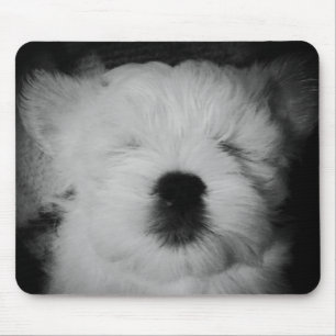 Rowdy the Maltipoo Puppy Mouse Mat