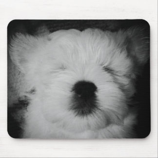 Rowdy the Maltipoo Puppy Mouse Mat