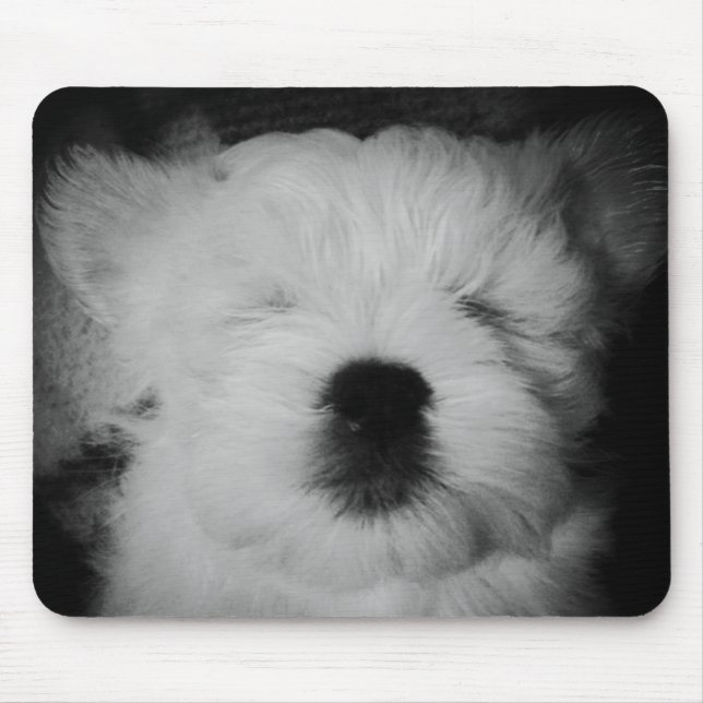 Rowdy the Maltipoo Puppy Mouse Mat (Front)