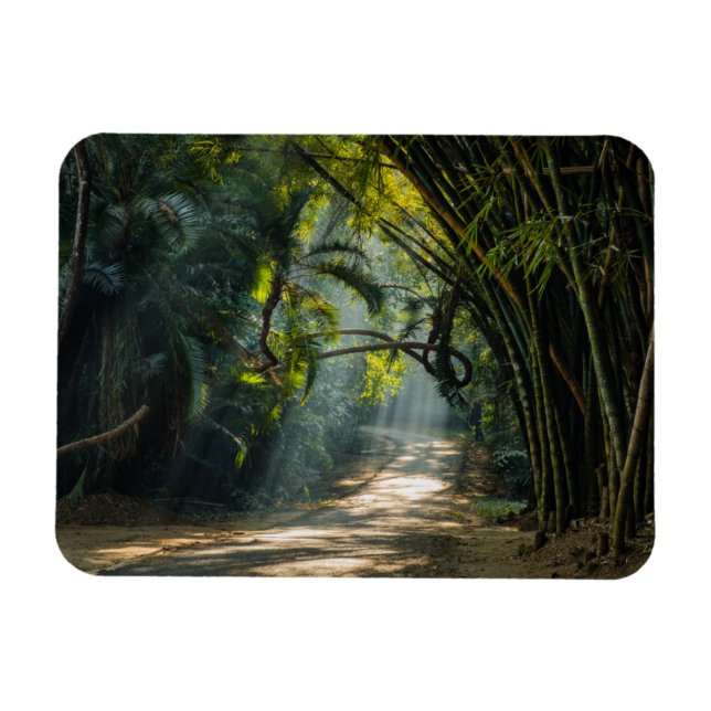 Rows of Bamboo Magnet (Horizontal)