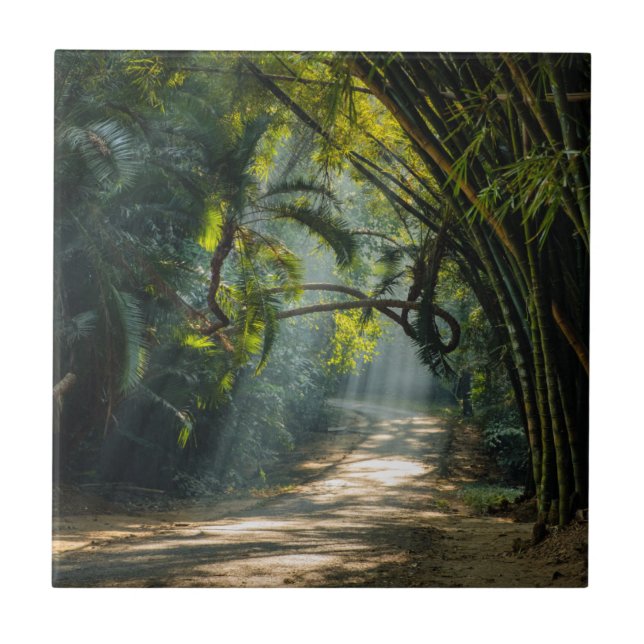 Rows of Bamboo Tile (Front)