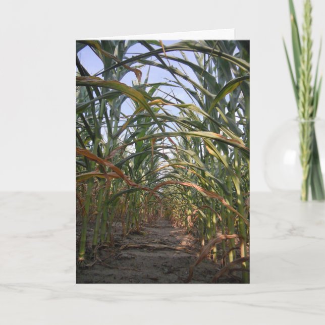 "Rows of Corn" Get Well Card (Front)