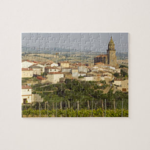 Rows of grape vines in the foreground frame the jigsaw puzzle