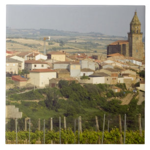 Rows of grape vines in the foreground frame the tile
