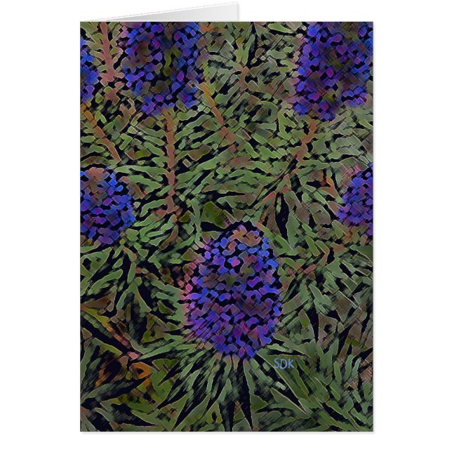 Rows of Lavender (Front)