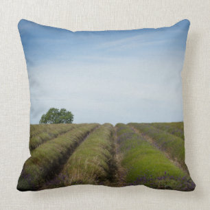 Rows of lavender after harvest throw pillow