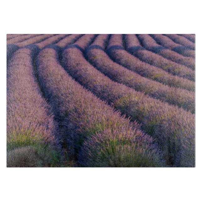 Rows of lavender in Provence Cutting Board (Front)