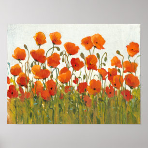 Rows of Poppies I Poster