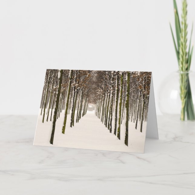Rows of trees holiday card (Front)