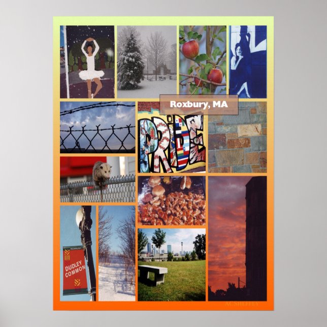 Roxbury, MA photo collage Poster (Front)