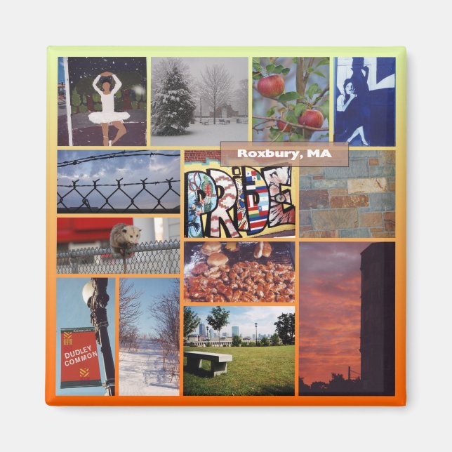 Roxbury, Massachusetts Photo Collage 9958 Magnet (Front)