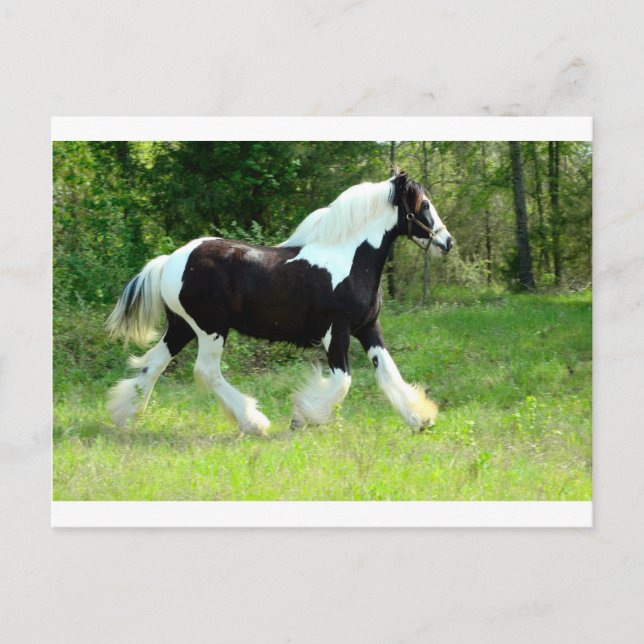 Roxie Postcard (Front)