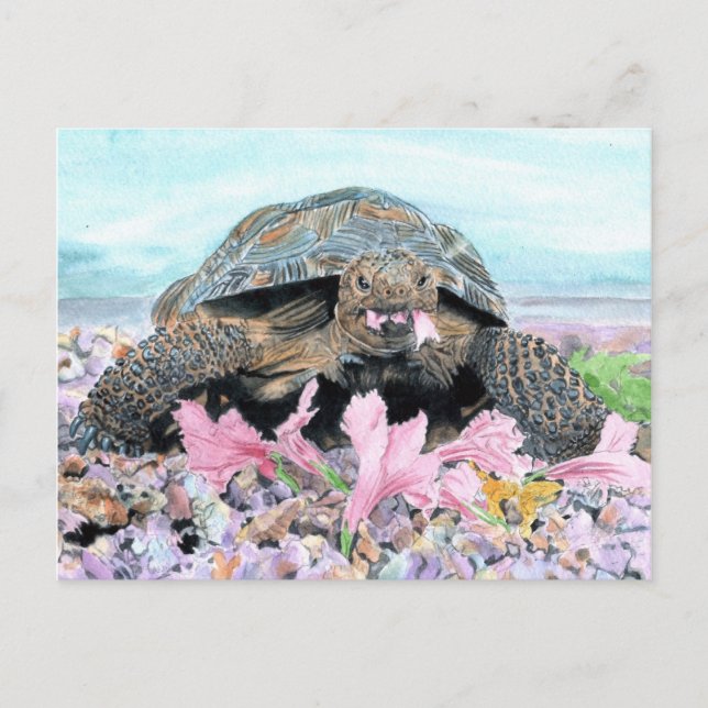 Roxy the Turtle Postcard (Front)