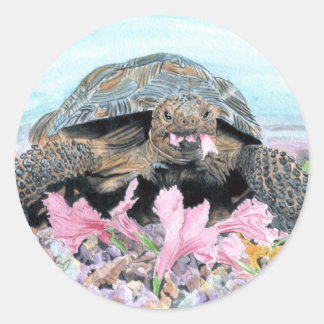 Roxy the Turtle Round Stickers