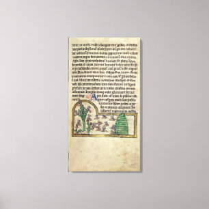 Roy Page of text with illustration of Canvas Print