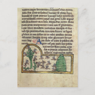 Roy Page of text with illustration of Postcard