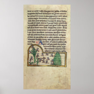 Roy Page of text with illustration of Poster