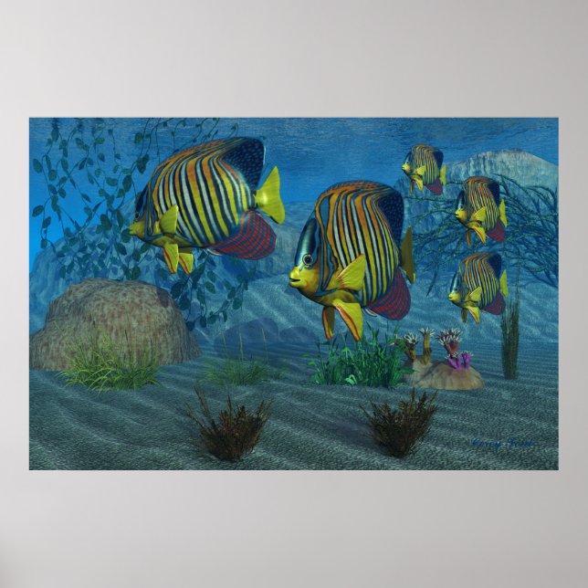Royal Angelfish Print (Front)