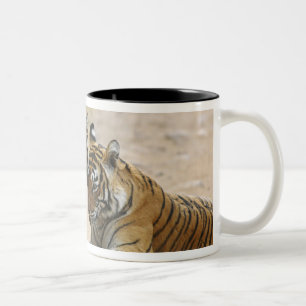 Royal Bengal Tiger and young - Touching ahead, Two-Tone Coffee Mug