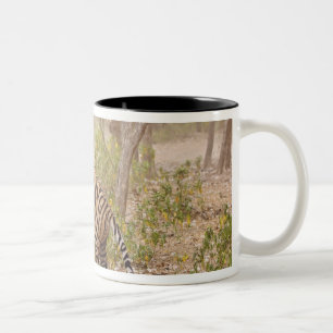 Royal Bengal Tiger climbing up the tree, Two-Tone Coffee Mug