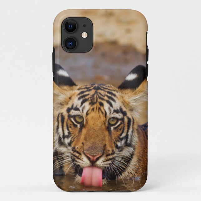 Royal Bengal Tiger cub, drinking water Case-Mate iPhone Case (Back)