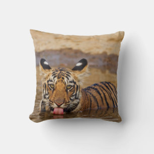 Royal Bengal Tiger cub, drinking water Cushion