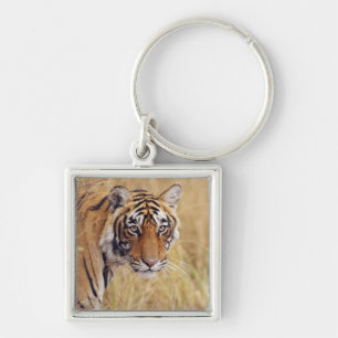 Royal Bengal Tiger Key Ring