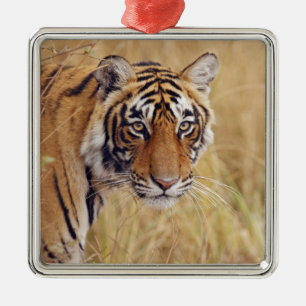Royal Bengal Tiger Metal Tree Decoration