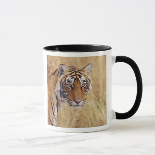 Royal Bengal Tiger Mug