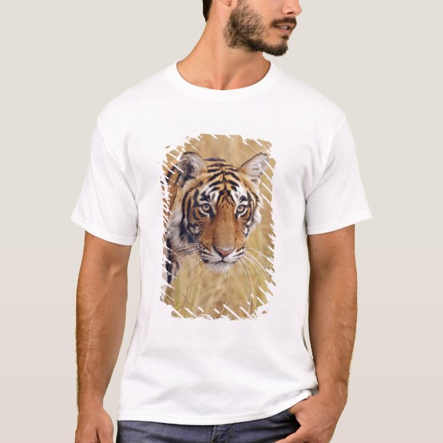 Royal Bengal Tiger T-Shirt (Front)