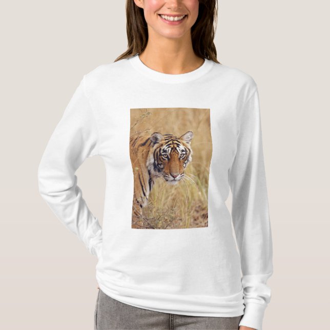 Royal Bengal Tiger T-Shirt (Front)