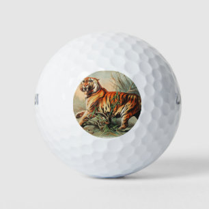 Royal bengal tiger   Tiger Year 2022 Golf Balls