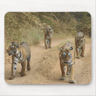 Royal Bengal Tigers Mouse Mat