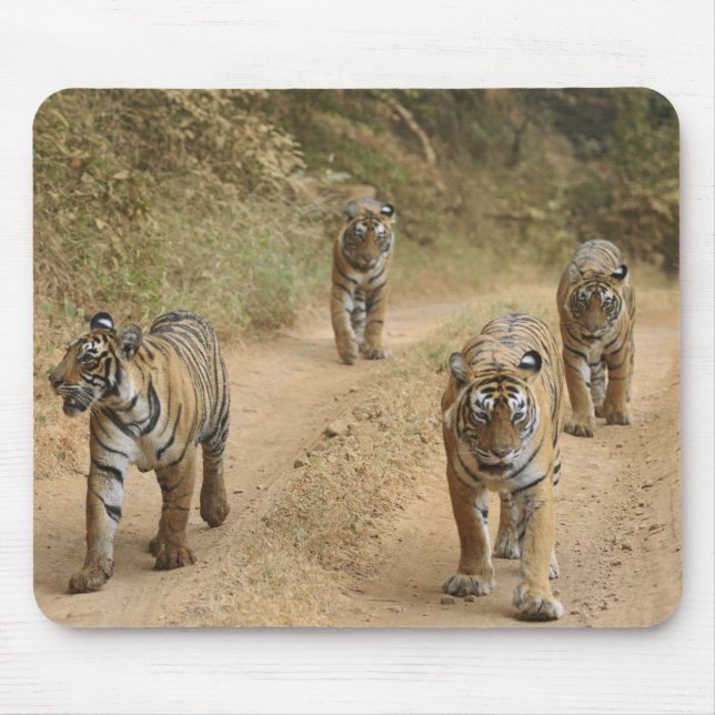 Royal Bengal Tigers Mouse Mat (Front)