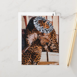 Royal Big Cats Collage Postcard