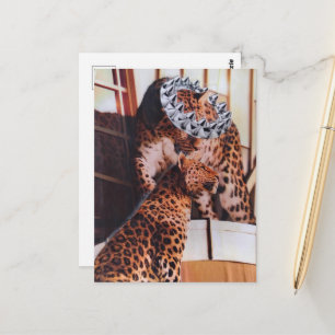 Royal Big Cats Collage Postcard