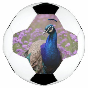 Royal Blue: Blue Peacock In Lavender Field, Football