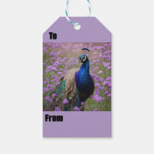 Royal Blue: Blue Peacock In Lavender Field, Gift Tags