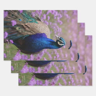 Royal Blue: Blue Peacock In Lavender Field, Wrapping Paper Sheet