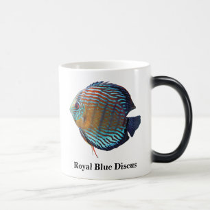 Royal Blue Discus Magic Mug