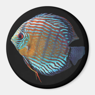 Royal Blue Discus Magnet