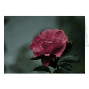 Royal Blush Card