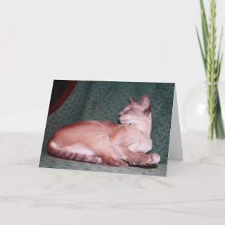 Royal Cat Birthday Card