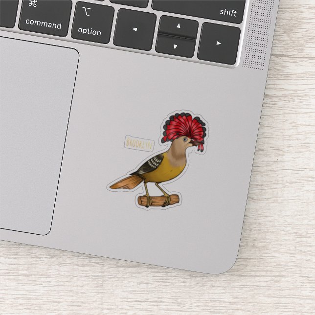 Royal flycatcher bird cartoon illustration  (Detail)