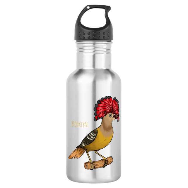 Royal flycatcher bird cartoon illustration 532 ml water bottle (Front)
